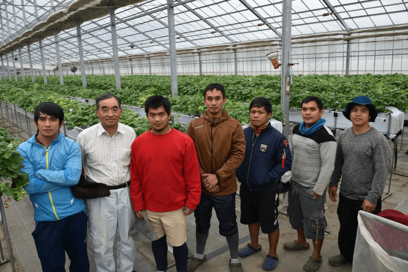 How to Qualify for Japan’s Specified Skilled Worker (SSW) Visa